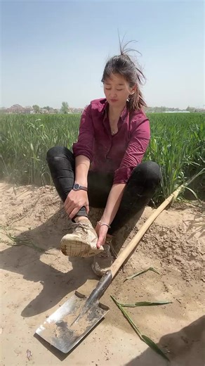 Please don't under review again request 😭😭😭 @TiktokPakistanOfficial #Shirt #China #Unfreezaccount 😰😰😰 #Newpepsihitmelik #viewsproblem 😰😰😰 don't under review 😭😭😭