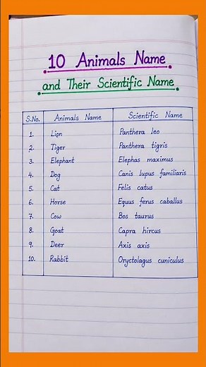 10 Animals Name with Their Scientific Names | Beautiful Handwriting | School Project | Easy Writing