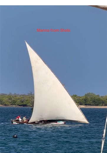 Preparation for The Annual New Year Peponi Dhow Race 2027 in Shela. #sailing #sailinglife #lamu #lamudhowadventures