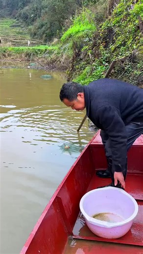 Fishing Mastery Techniques for Beginners