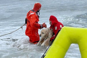 Rhode Island firefighters rescue a yellow Lab from an icy pond on New Year's Day