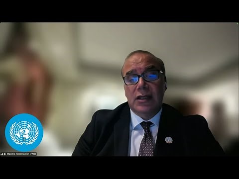 Food Security Report 2025: Global shocks drive food insecurity & price inflation | United Nations