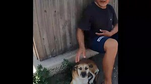 1.5K views · 116 reactions | Princesa le tiene mucho miedo a las...