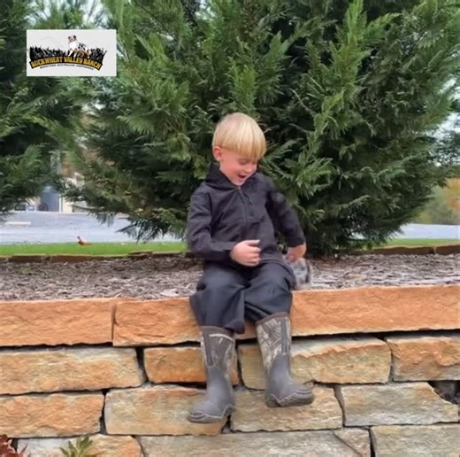 🐾 Meet Montana — the last little gentleman from the Masterpiece/Keepster litter! 🐾 Born September 12, 2025, this blue-eyed blue merle beauty is an absolute heart-melter. He’s the only one still waiting for his forever family… and he is such a cutie on camera! Montana is expected to mature around 15–16” tall and 35–40 lbs, the perfect Miniature Australian Shepherd size — active, smart, loyal, and full of charm. ✨ What Montana Comes With: • Up-to-date shots & wormer • First vet visit completed w