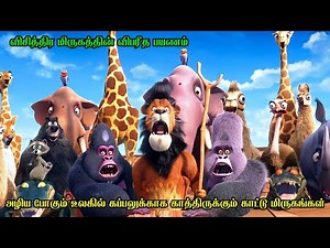 அழிய போகும் உலகில் கப்பலுக்காக காத்திருக்கும் காட்டு மிருகங்கள் | Film Feathers