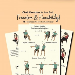 Chair Exercise for Lower Back Pain, Chair Yoga for Seniors, Seated Back Stretches for Back Pain Relief, Mobility Exercises, Flexibility, PDF - Etsy UK