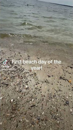 First beach day! #beach #ocean #spring #nature #connection #peace #sunny #shorts #beachlife #viral