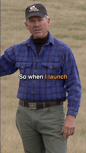 How to Teach a Dog to Be Steady to Wing and Shot