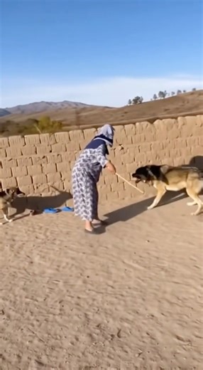 WOLF Attacks Dog – But What This Woman Did Next SHOCKED Everyone 😱🔥