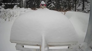 8.4K views · 215 reactions | It's happening! 拾 Have you planned your winter ski trip yet? With 3,121 acres of skiable terrain here at RMR, you will quickly discover that one day is never enough. Don't forget about our Nov. 15th deadline to save up to 40% off on Lift Tickets, Lodging, and More: https://bit.ly/3Dabc5G | Revelstoke Mountain Resort | Facebook