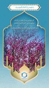 385K reactions · 581 comments | #Islamic #Islam #AWCC #AfghanWireless #Data #Voice #Services #No1 #Afghanistan #Afghan #Network | Afghan Wireless | Facebook