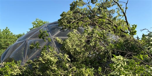 St. Louis Zoo scrambles animals, 10,000 visitors to safety as EF-3 tornado leaves trail of damage