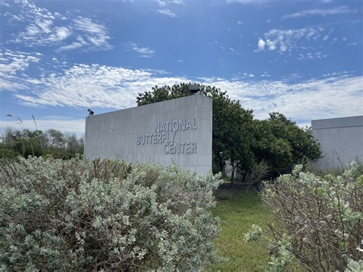 CBP: Border wall will go through National Butterfly Center