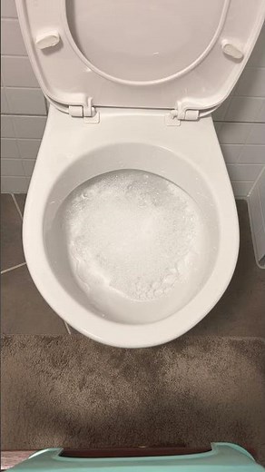 Comment désinfecter détartrer désodoriser des WC rapidement #astuce #wc