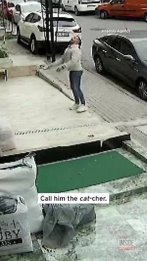 Call him the cat-cher! A man in Istanbul caught a cat that fell from a window three floors up. | Inside Edition