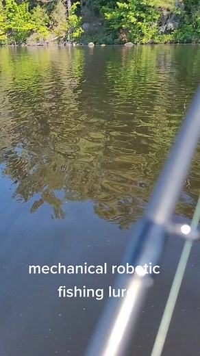 #mechanicallure #fishinglures #fishinglife #fishing #roboticlure #roboticfish