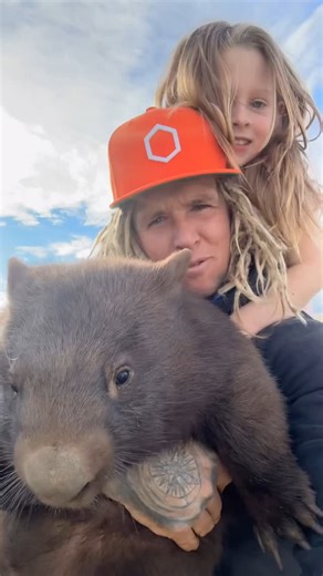 Josh Neille on Instagram: "Out in the wombat pen today and Ashlee’s getting her steps in thanks to her very own cross country coach, Rocco 🏃‍♀️🐾 He’s hot on her heels as she does laps around the enclosure, spreading out carrots like it’s some kind of veggie marathon 😂🥕 Rocco’s come such a long way in his rehab and he’s not far off from heading back into the bush. He clearly hasn’t forgotten who used to sneak him extra cuddles and snacks — still follows Ash like a shadow. Pretty special to se