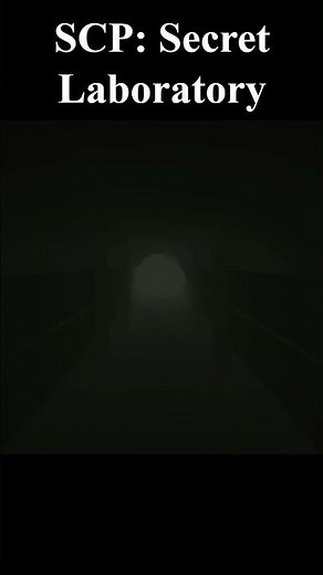 SCP: Secret Laboratory and SCP - Containment Breach
