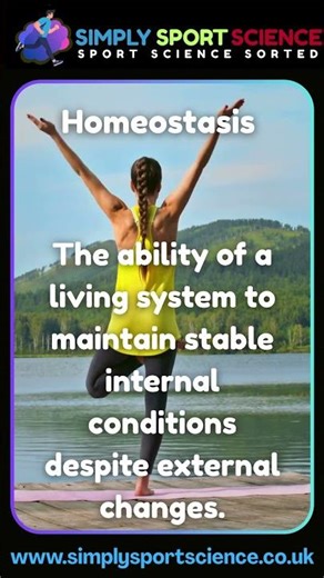 Sports Science: #homeostasis #physiology #gcsepe #ibsehs #A-Level #revision #sportsscience