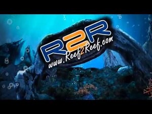 Marineland Diatom filter