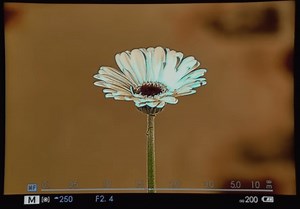 ピーキング機能とは？マニュアルも正確にピント調節の便利機能