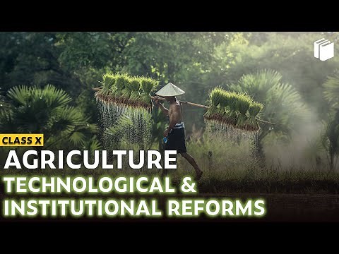 Technological & Institutional Reforms | Agriculture | Chapter 4 - Geography | Class 10 | PuStack