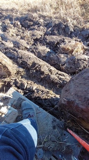 IMT 560 Traktor: Težina i Primena u Poljoprivredi