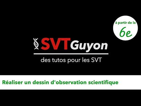 SVT Guyon - Tuto Réaliser un dessin d'observation dès la 6e