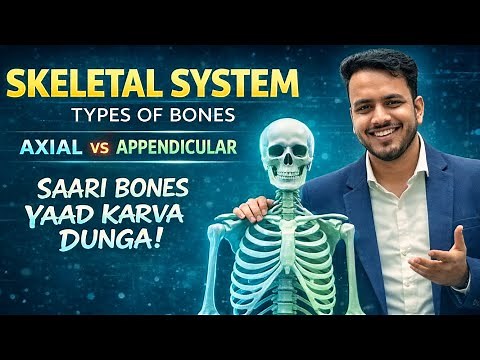 Skeletal system | Division of skeletal system | Types of bones | Axial & Appendicular skeleton | 206