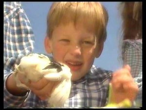 TVW7 Telethon Song 1985 Alyce Platt & Ray Burgess