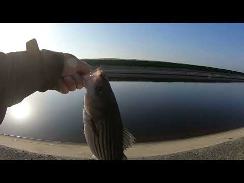 Fish all day till Moon 🌕is out only 1 keeper. California aqueducts 2026