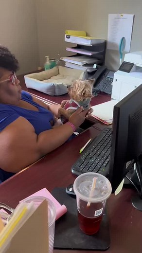 When the Holyghost lay your dog out for biting #yorkie#foryoupage #christiantiktok #pets