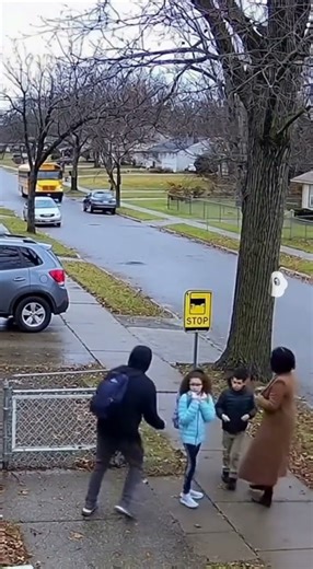 Dog Saves Toddler from Kidnapper at Day — Infrared CCTV Video! 🐶