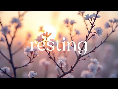 Rest Your Mind | Quiet Acoustic Guitar for Mindfulness & Deep Calm