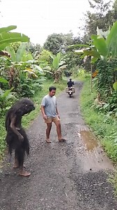 KEJADIAN SIANG INI SUKU MANTE #SEMUAORANG #PENGIKUT #VIRAL | Alex Sumatra