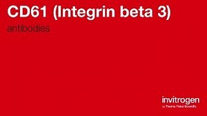 CD61 (Integrin beta 3) antibodies from Thermo Fisher Scientific