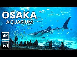 🇯🇵 OSAKA Aquarium Walking Tour | With Captions | The LARGEST Aquarium in the World! [4K/HDR]
