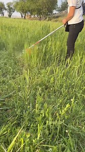 5.7K views · 38 reactions | حرميش قص الربيع 850 شيكل توصيل جميع المناطق  0526028369 0543384755 | مجموعة Naser Tools | Facebook