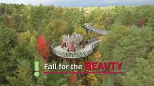 See the colors of fall from a beautiful new new point of view at The Wild Center in Tupper Lake, NY! Experience Wild Walk, our accessible trail above the treetops - 40 feet off the ground. Reserve your required timed ticket and plan your fall visit at wildcenter.org/visit. | The Wild Center