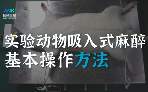 动物实验 | 实验动物吸入式麻醉基本操作方法