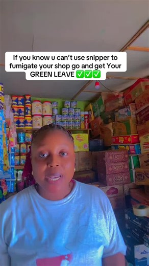 Effective Fumigation Tips for Your Shop