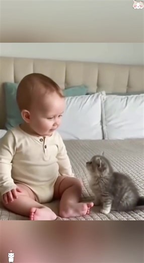 Adorable Moments of Baby and Cat Interacting