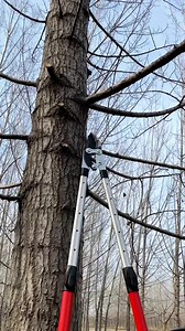 The Best Auto Tools for Your Garage or Workshop 🌎 ☀ #trending #car #reels #viral #tool #cartool #automotive #vtautoshop | Auto Repair Masters Tool