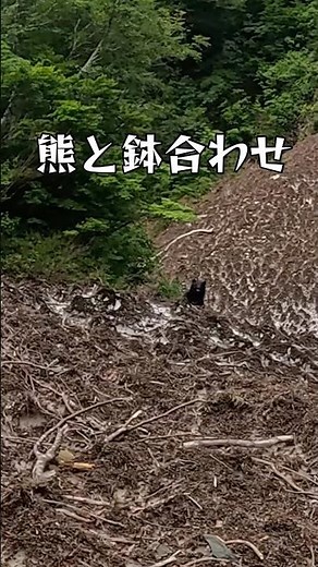 渓流で熊と睨み合い #熊 #渓流 #秘境 #雪渓 #テンカラ #ツキノワグマ