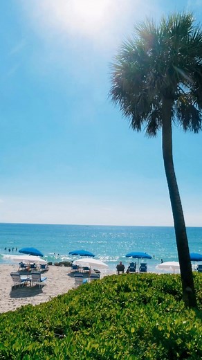 1.3K views · 21 reactions | Name a better duo than sunshine and adventure - we'll wait. Situated between Boca Raton and Fort Lauderdale, Deerfield Beach is the perfect place for your next vacation.Florida residents save big with our special rate with up to 20% off. Book now using the link in our bio! #FloridaResident #EmbassySuitesDeerfieldbeach | Embassy Suites by Hilton Deerfield Beach Resort & Spa | Facebook