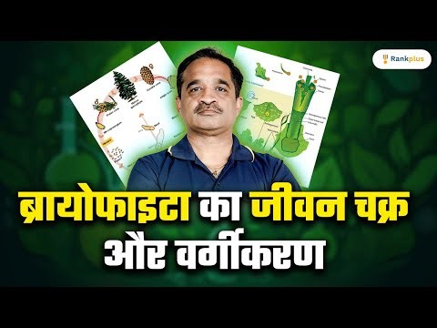 ब्रायोफाइटा का जीवन चक्र और वर्गीकरण | Plant Kingdom | Biology Hindi Medium | NEET 2025