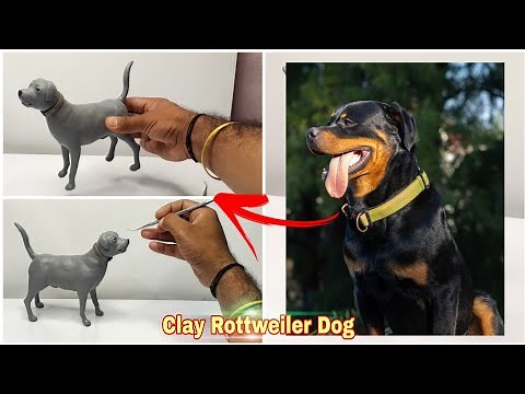 Clay sculpture: A Clay Dog Making ( Rottweiler Dog ) Handmade from polymer clay, clay animals dog,