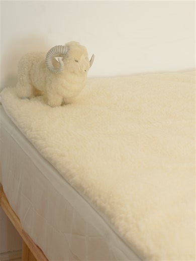The Smart Topper: Side A (Cozy Quilted) for Summer, Side B (Warm Fleece) for Winter. #topper #wool Meet the revolutionary Dual-Side Wool Mattress Topper. One side features temperature-regulating pure and soft wool for warm, dry comfort. The other is quilted fabric for cozy. One topper, two perfect feels—simply flip to match your mood or the weather. Watch to discover your year-round sleep upgrade!#DualSidedTopper #WoolMattressTopper #AllSeasonBedding #SleepInnovation #QuiltedTopper #HotSleeperSo