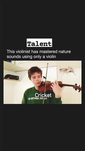 This violinist has mastered nature Sounds using only violin 😮😯 | Piano Entertainment