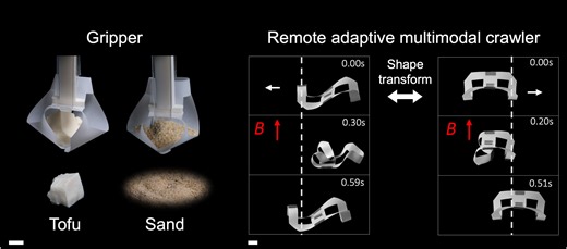 'Metabots' shapeshift from flat sheets into hundreds of structures